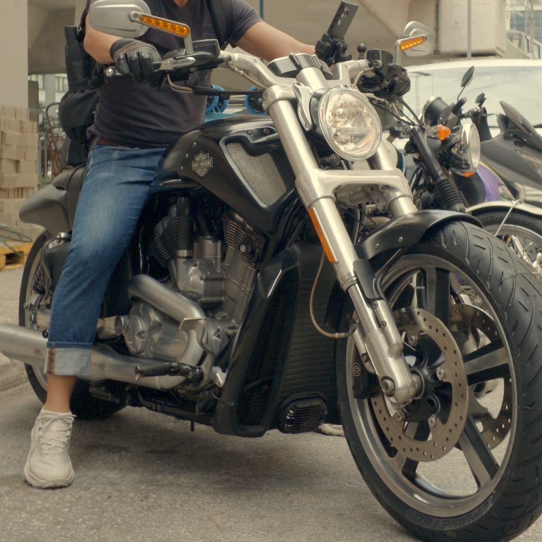 V-Rod Muscle VRSCF