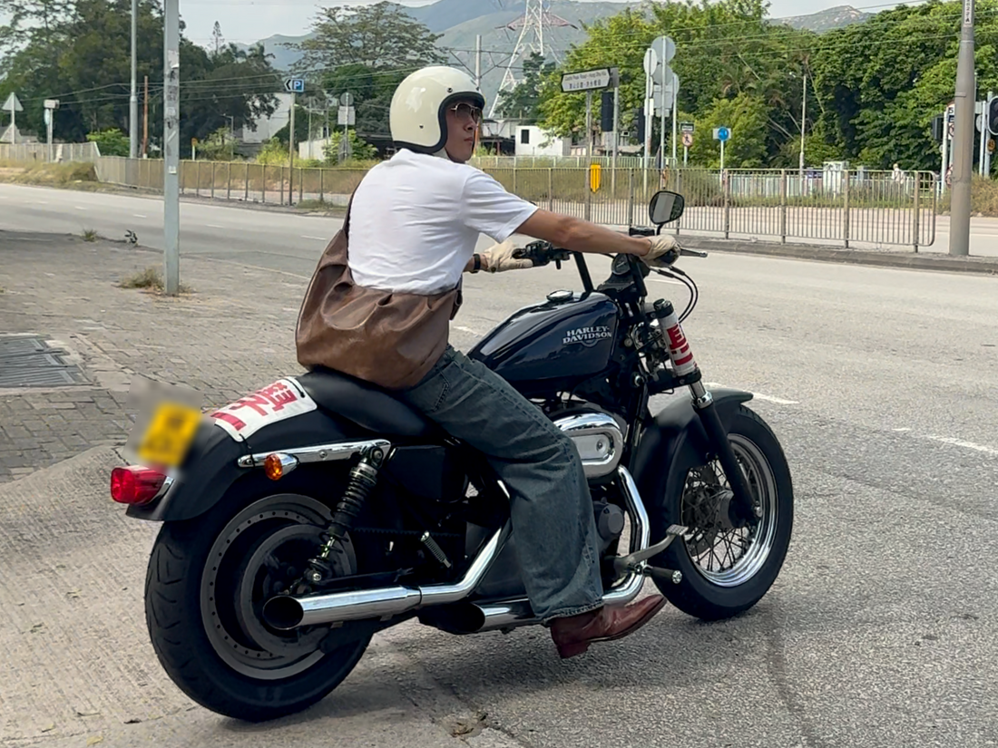 2007 Harley-Davidson Sportster 883 Low (XL883L)