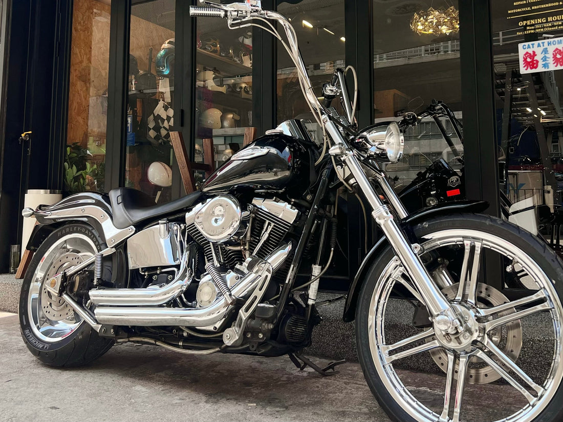 2007 Softail Custom FXSTC